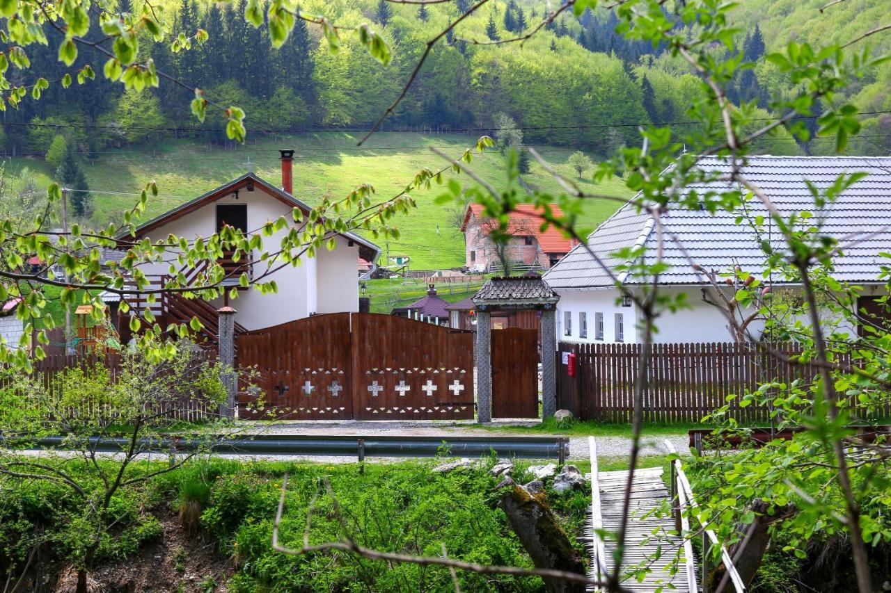 Gospodaria Lui Nea Ion Vama Buzaului Exterior photo